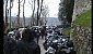 5degwild-tour-2008-1364-15995