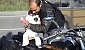 motomaialata-2008-1764-21224