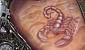 11deg-pirate039s-party-2010-3278-25587