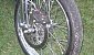 24deg-wild-life-run-2010-3329-25833