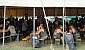 12deg-motoraduno-zanzare-del-delta-2011-3482-26925