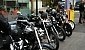 galloranza-2011-3647-26575
