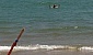 galloranza-2011-3647-26584
