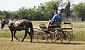 urtos-grup-friul-2011-3719-26759