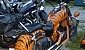 motorad-20-tomahawk-2013-4241-27786